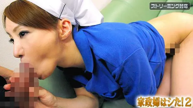 藤堂由香里：家政婦はシた!2