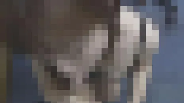 万引き主婦 大きすぎた代償