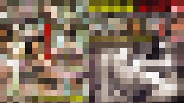 徳井唯：変態指向マニア Vol.6