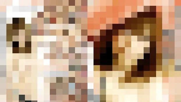 観月優：某航空会社キャンペーンガール-(3000K)