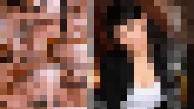 みづなれい：清楚な妻の真実