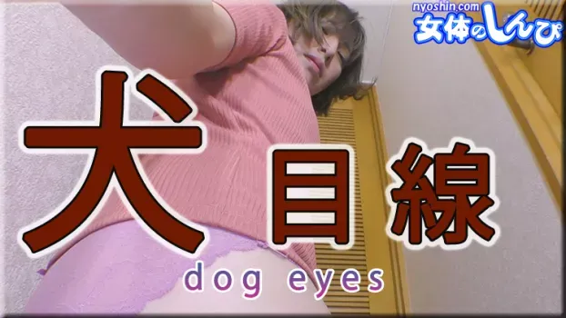 なほこ：犬目線
