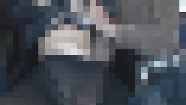 痴漢バス過激集団