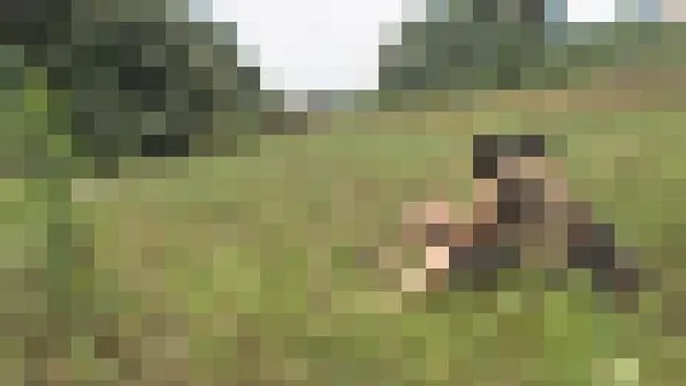 多数 - 真夏のビーチ砂浜SEX淫撮