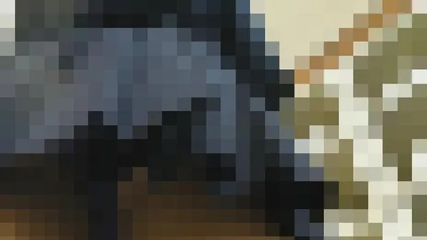 女子の下駄箱パンチラ盗撮