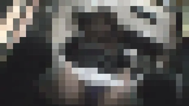 エリートサラリーマンの趣味は通勤中のバス車内でのパンチラ盗撮2