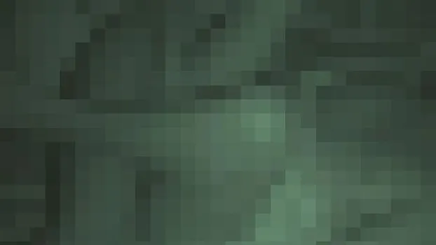 夜這い盗撮 家族崩壊