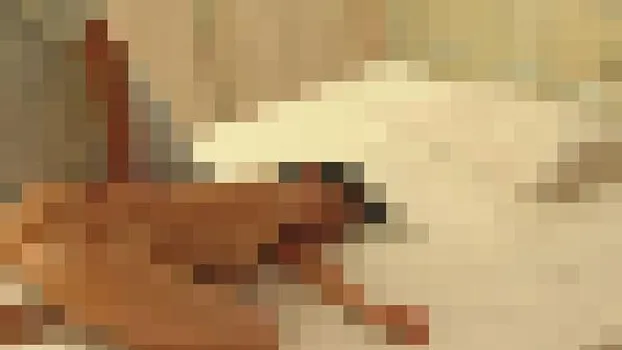 韓国式按摩マッサージ盗撮 2