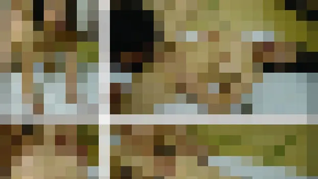 桂みのり：五十路妻中出しドキュメント