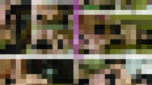 西原志保：母のあやまち