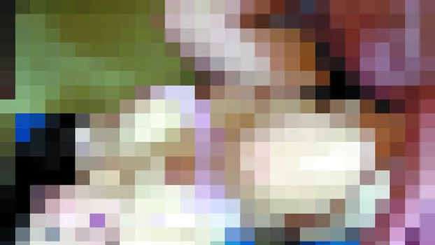 立花みずき：奥様達の裏稼業2