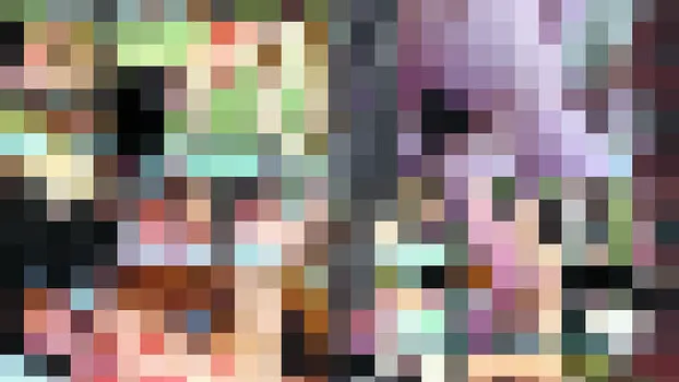 長谷川美紅：僕のペットはお母さん2