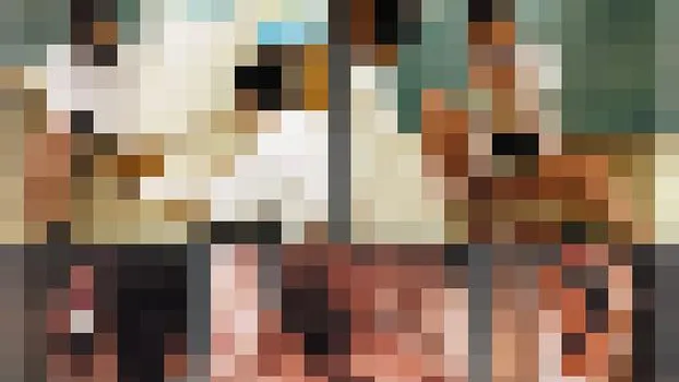 長野恭子：人妻女教師 教え子と背徳の関係