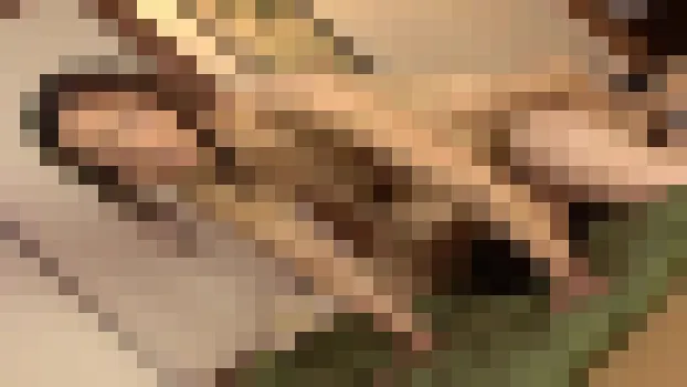 昭和の女 石原よしえ