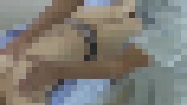 レントゲン技師の卑猥な撮影コレクション 総集編