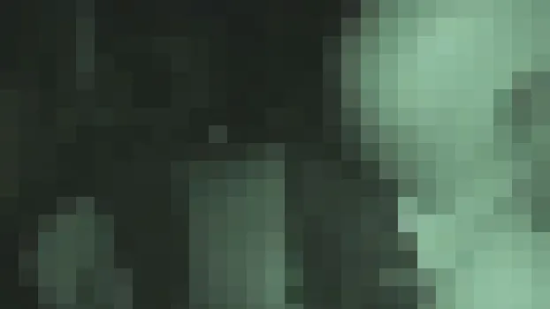 流出極秘映像 深夜のカーセックスを赤外線撮影 S県スポット駐車場