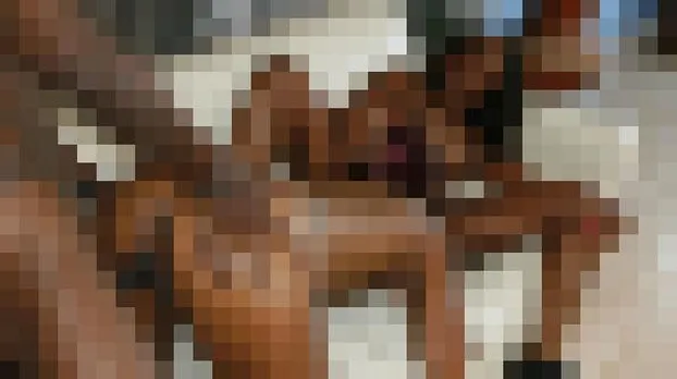 Coffee Natlie：1572