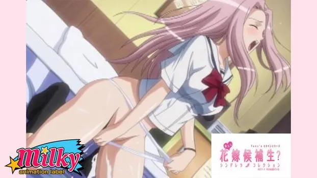 彼女は花嫁候補生 シンデレラコレクション vol.1