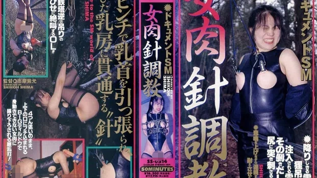 松田美保：ドキュメントＳＭ 女肉針奴隷