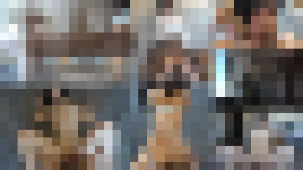 わかVol.01 ごく普通の人妻に何が起きたのか？謎すぎる本屋で働く人妻の本性が凄かった。