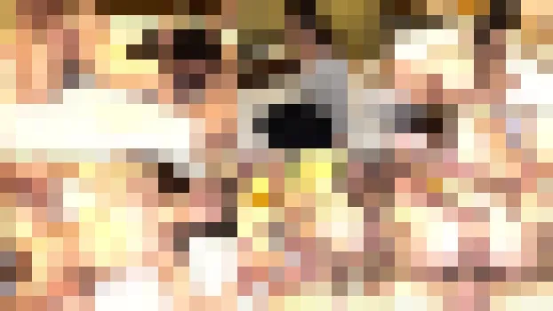 れいなVol.04 もう諦めたのか？それとも崩壊してしまったのか？さらにおかしくなる人妻