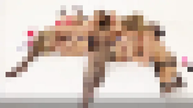 アニカ・アルブライト カーター・クルーズ カリーナ・リュウ サーシャ・ハート：アニカ・アルブライト、カーター・クルーズ、カリーナ・リュウ、サーシャ・ハート - 無修正、4人のレズビアンとの乱交タイム