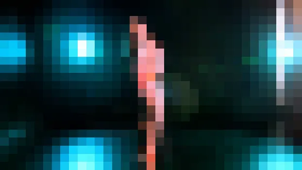 クリスティン：Beautiful Brunette Teen in Hot Pants Poses in the Nude