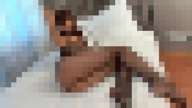 メリッサM アーサーW：Sweet Natural Boobs Melissa M Taking Arthur W In The Pussy!