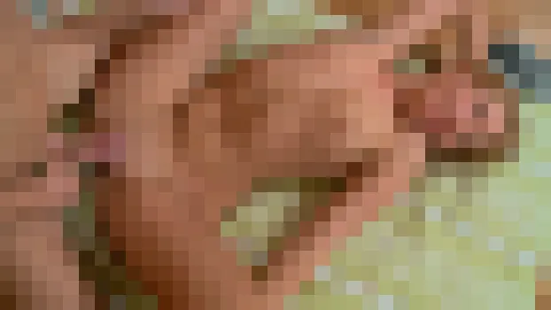 ミロP シエナS：Sienna’s Study Session Leads To Intense Anal Pleasure!